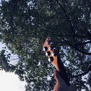 国产拍⭕⭕⭕拗女
